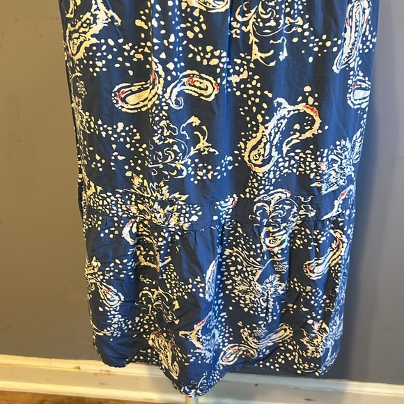 Daniel Rainn blue and paisley sleeveless day dress large NWOT - Picture 4 of 10